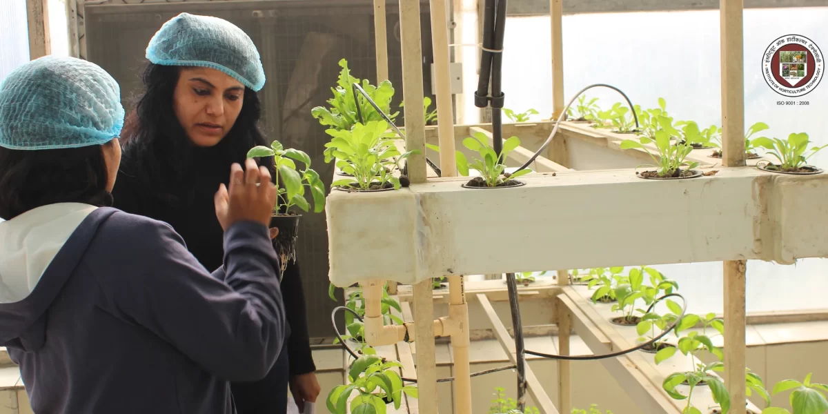 Hydroponics, Hydroponic Gardening