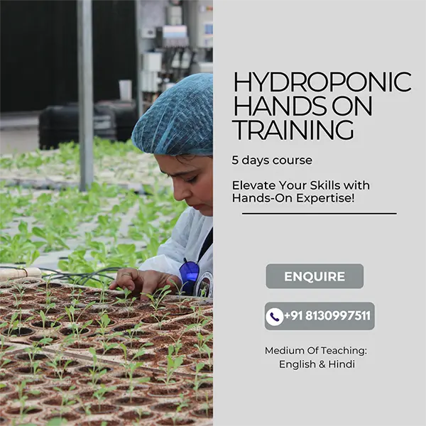 Institute of Horticulture Technology, Commercial Hydroponics, Protected Cultivation of Vegetables Crops, Mushroom Production