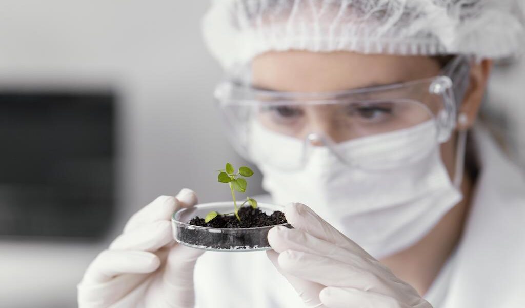 Addressing Nutritional Gaps with Biofortification