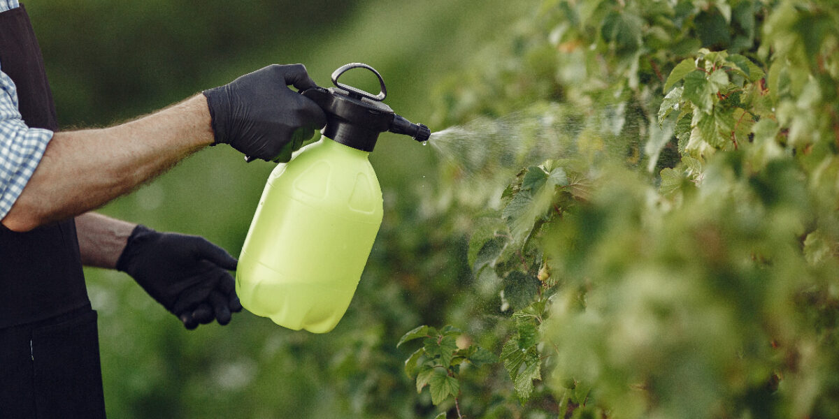 Bio-pesticides for a sustainable future