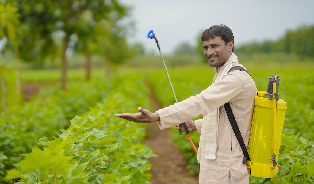 Horticulture in India