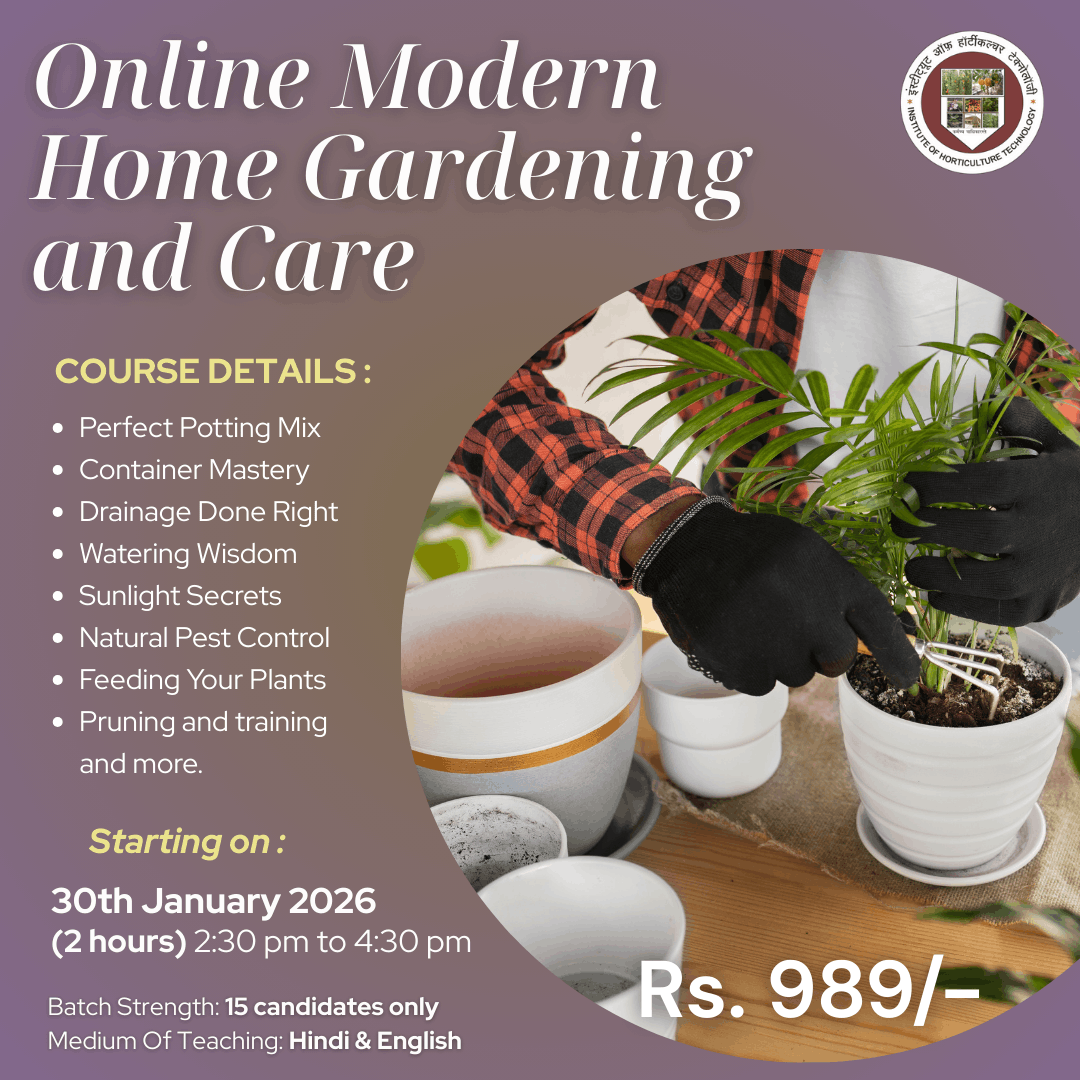 IHT Courses (13) (1)