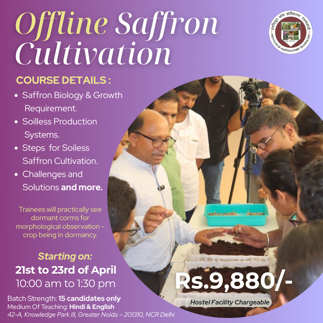 online saffron cultivation