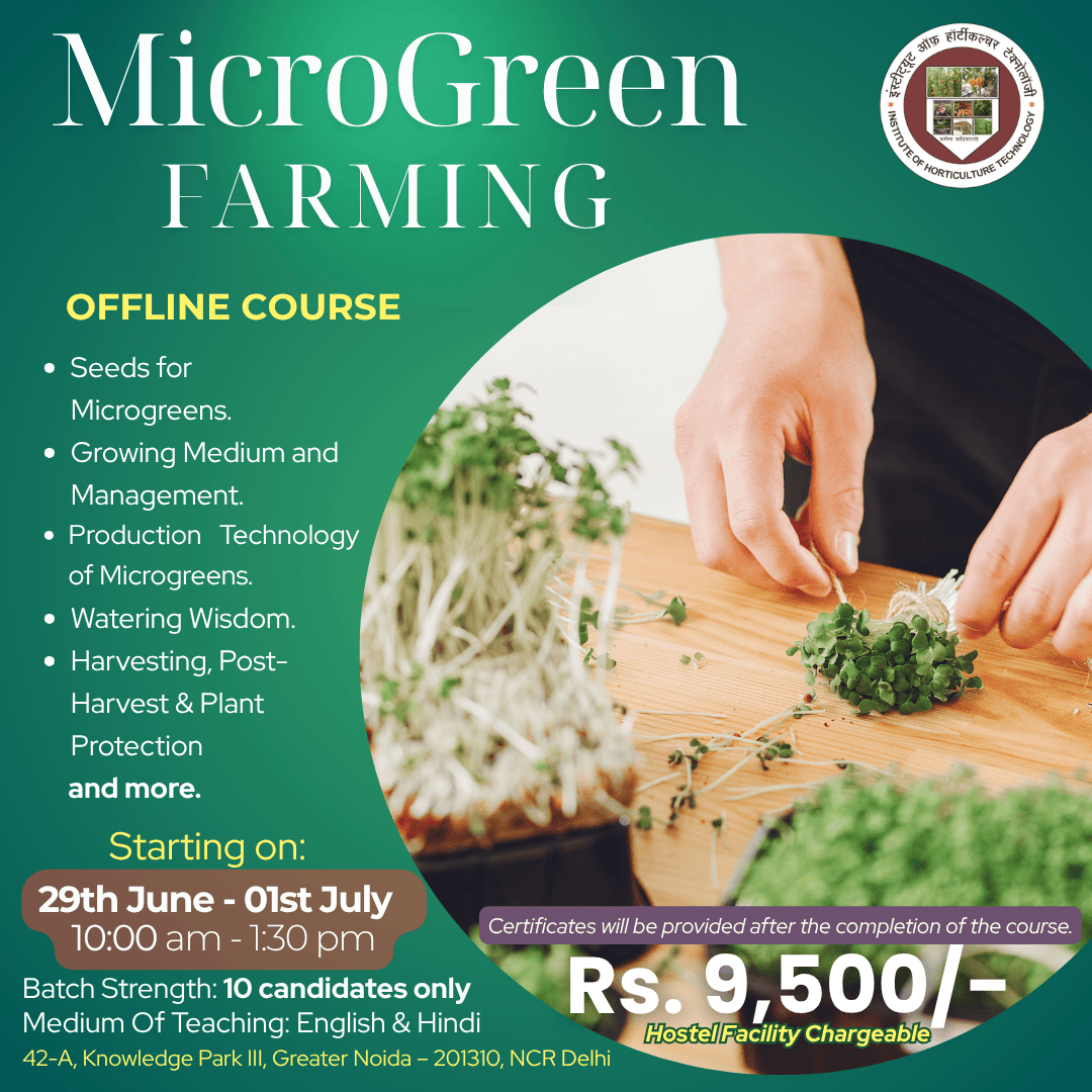 IHT Courses (13) (1)