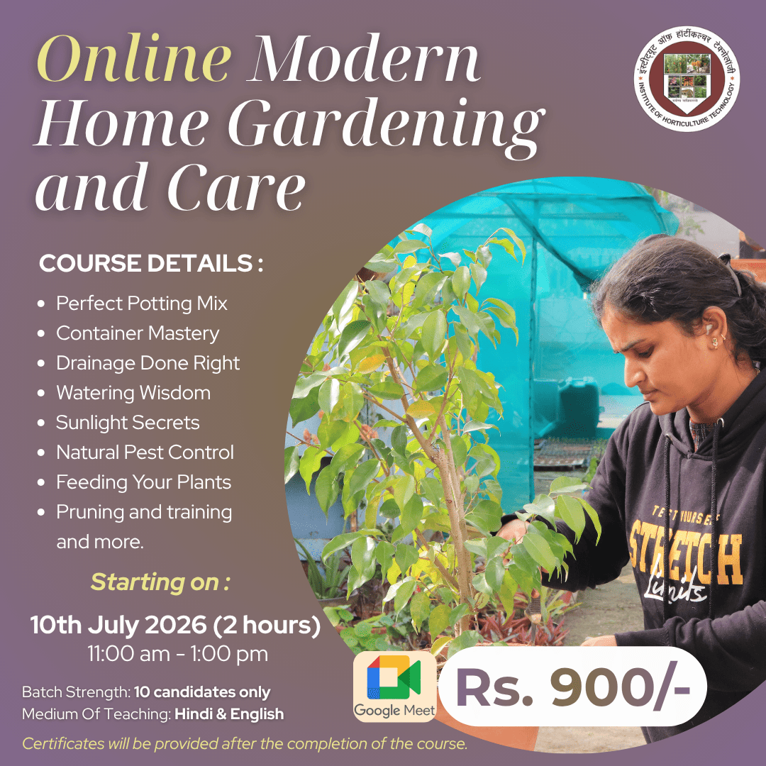 IHT Courses (2) (2)