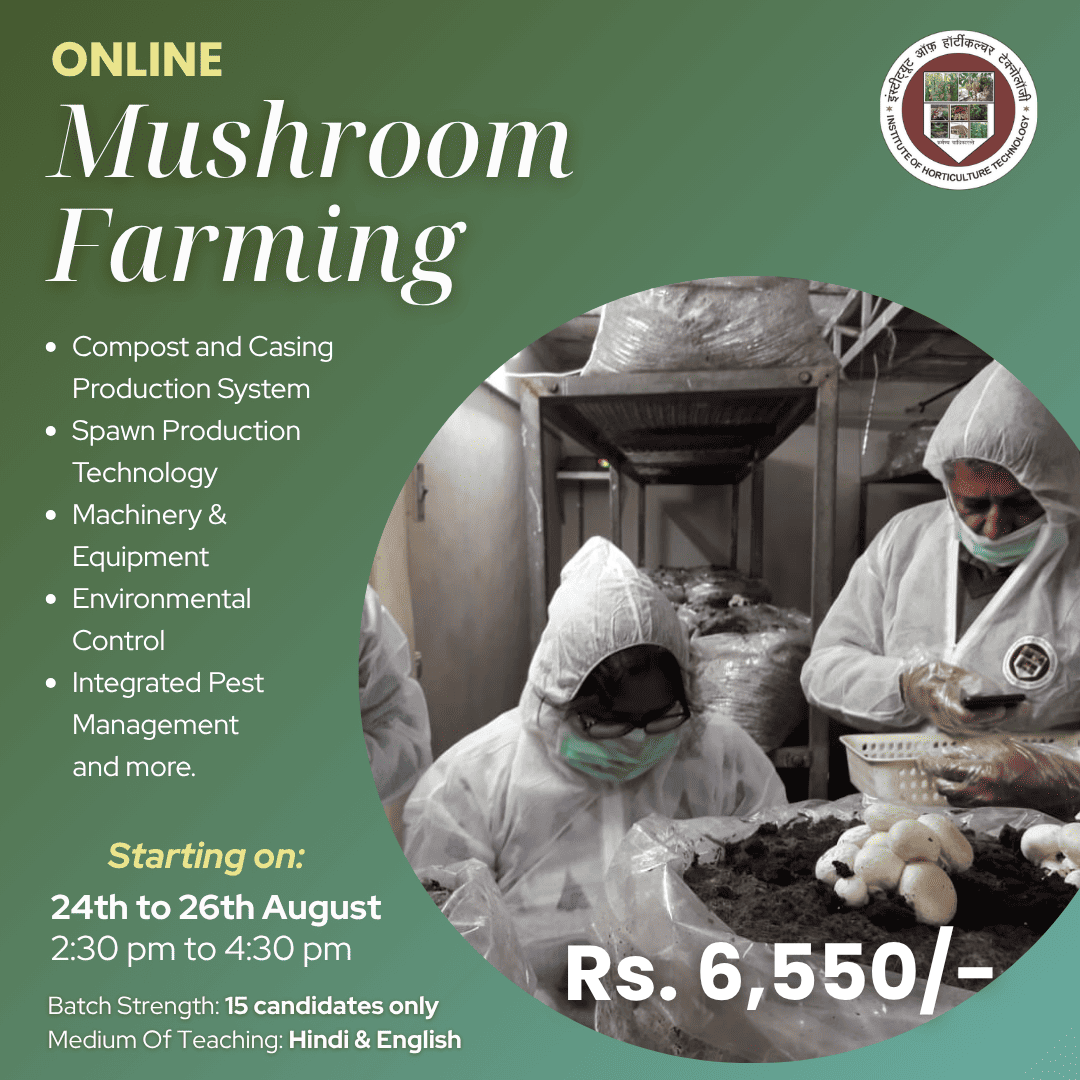 IHT Courses (15) (1)