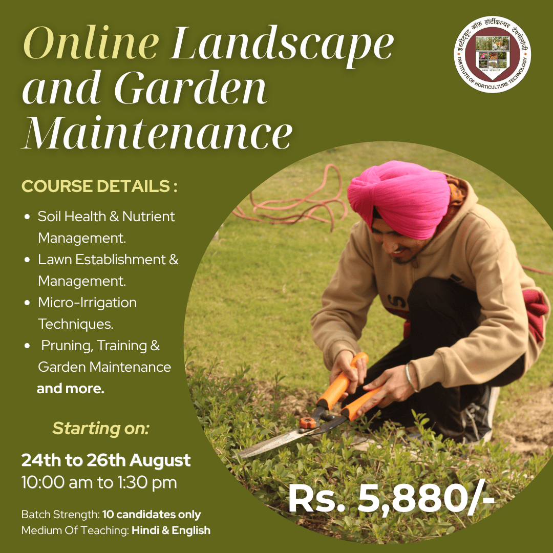 IHT Courses (17)