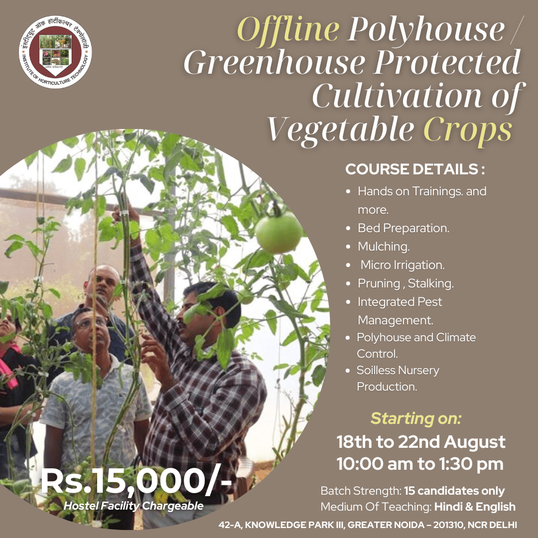 IHT Courses (18) (1)