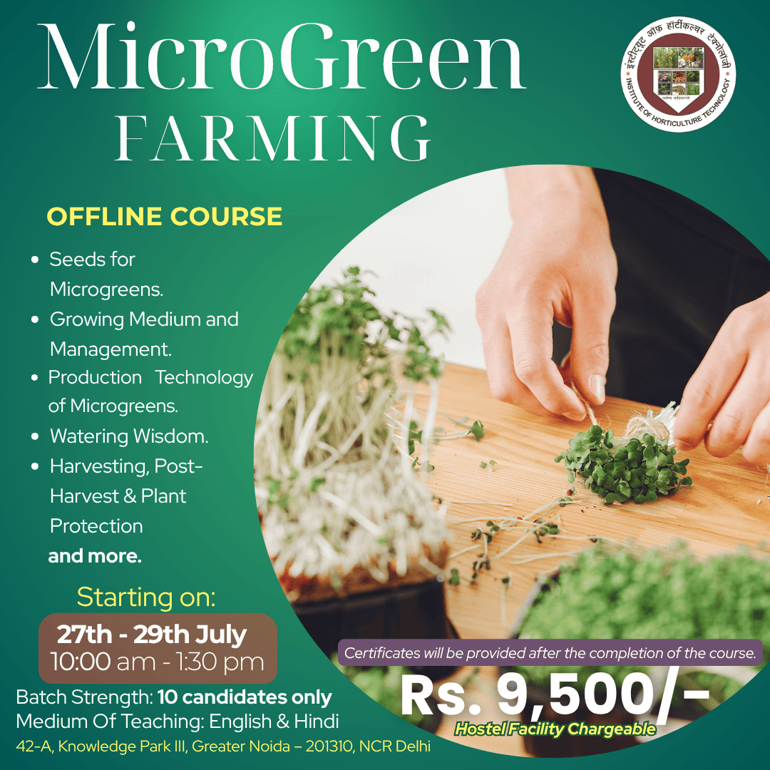 IHT Courses (3) (1)