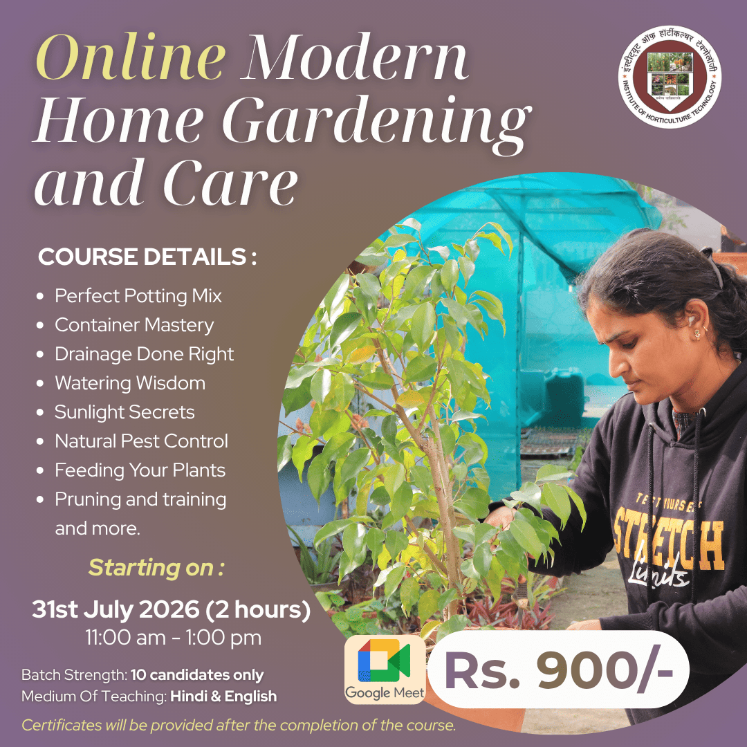IHT Courses (7)