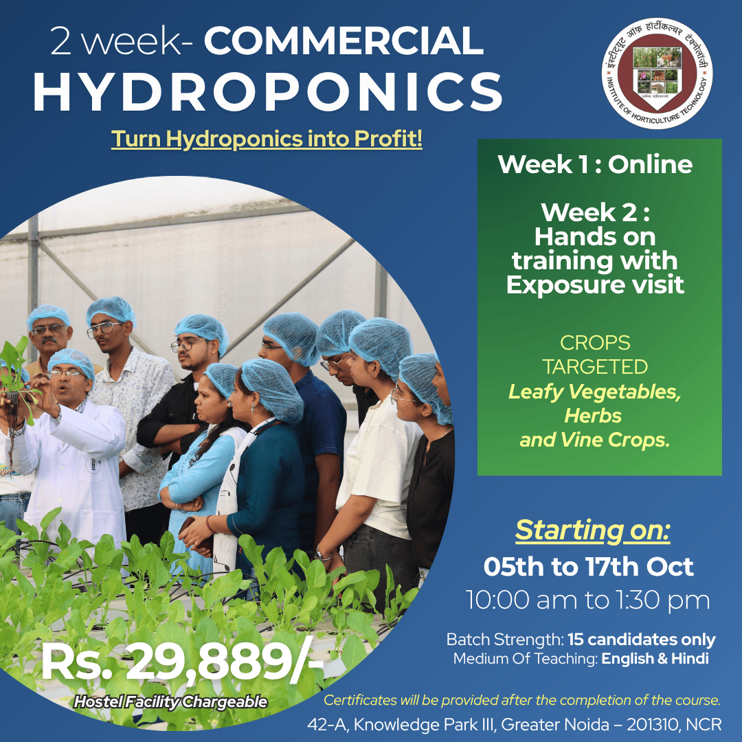 IHT Courses (1)
