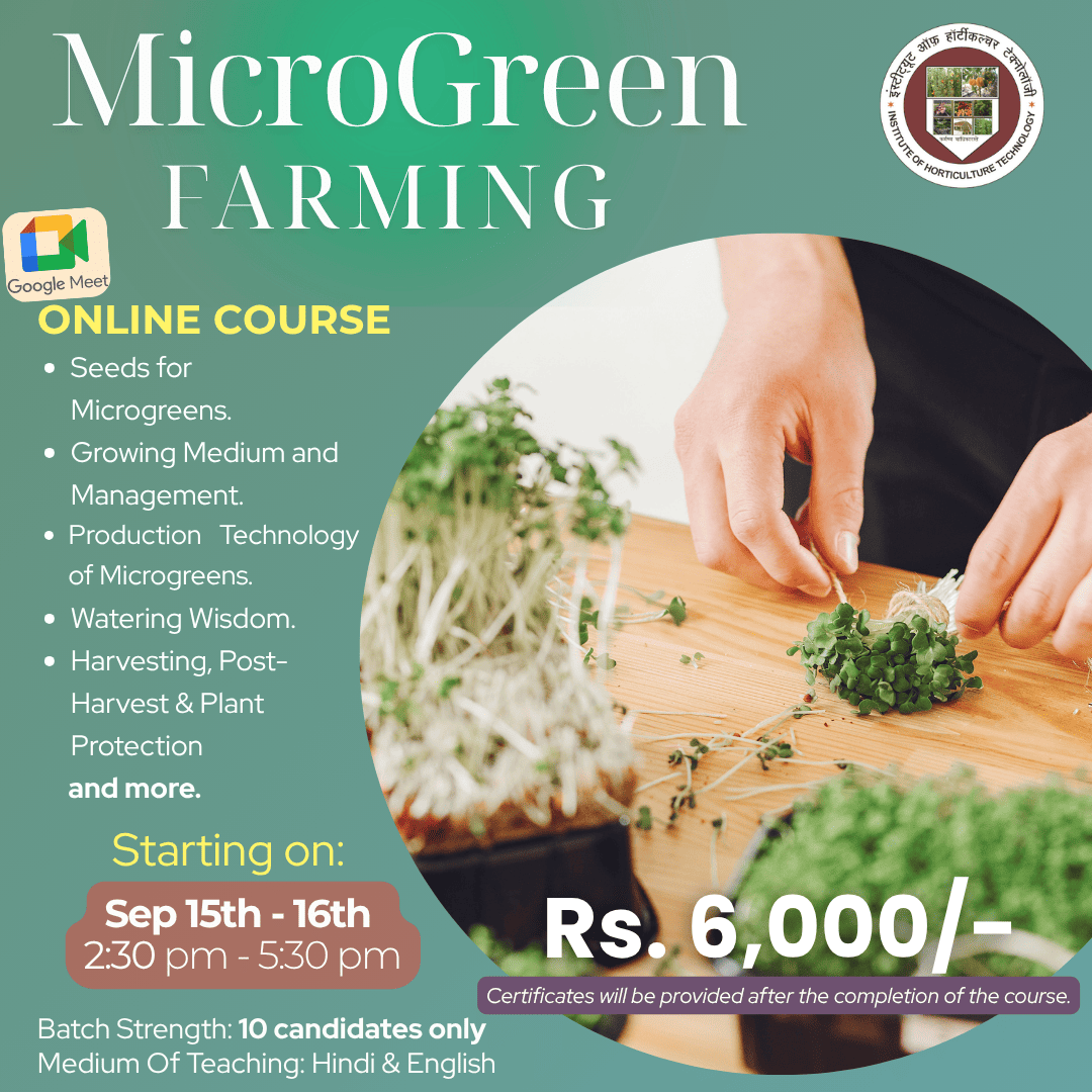 IHT Courses (2) (1)