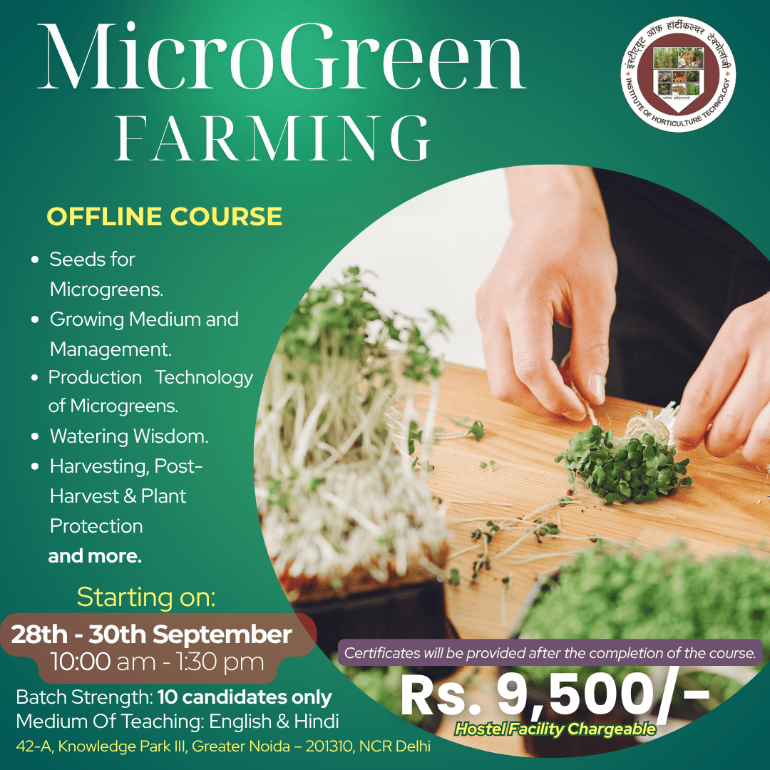 IHT Courses (5) (1)