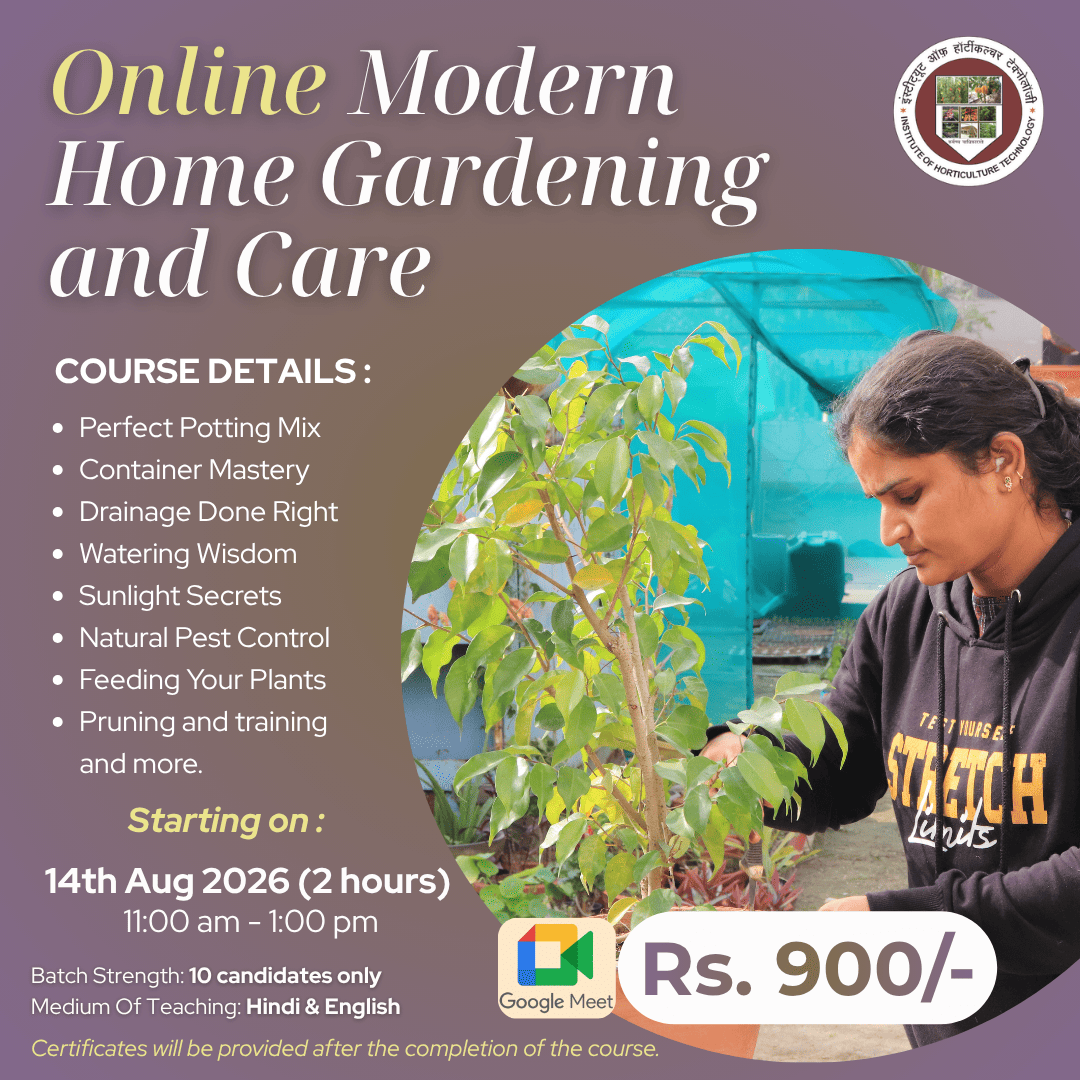 home garden (1)