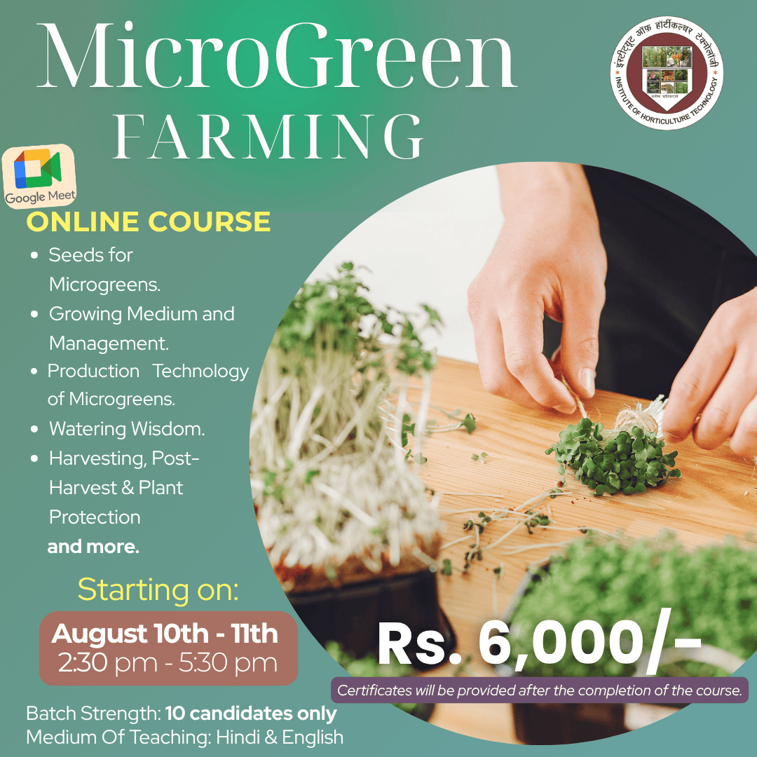microgreen (1)