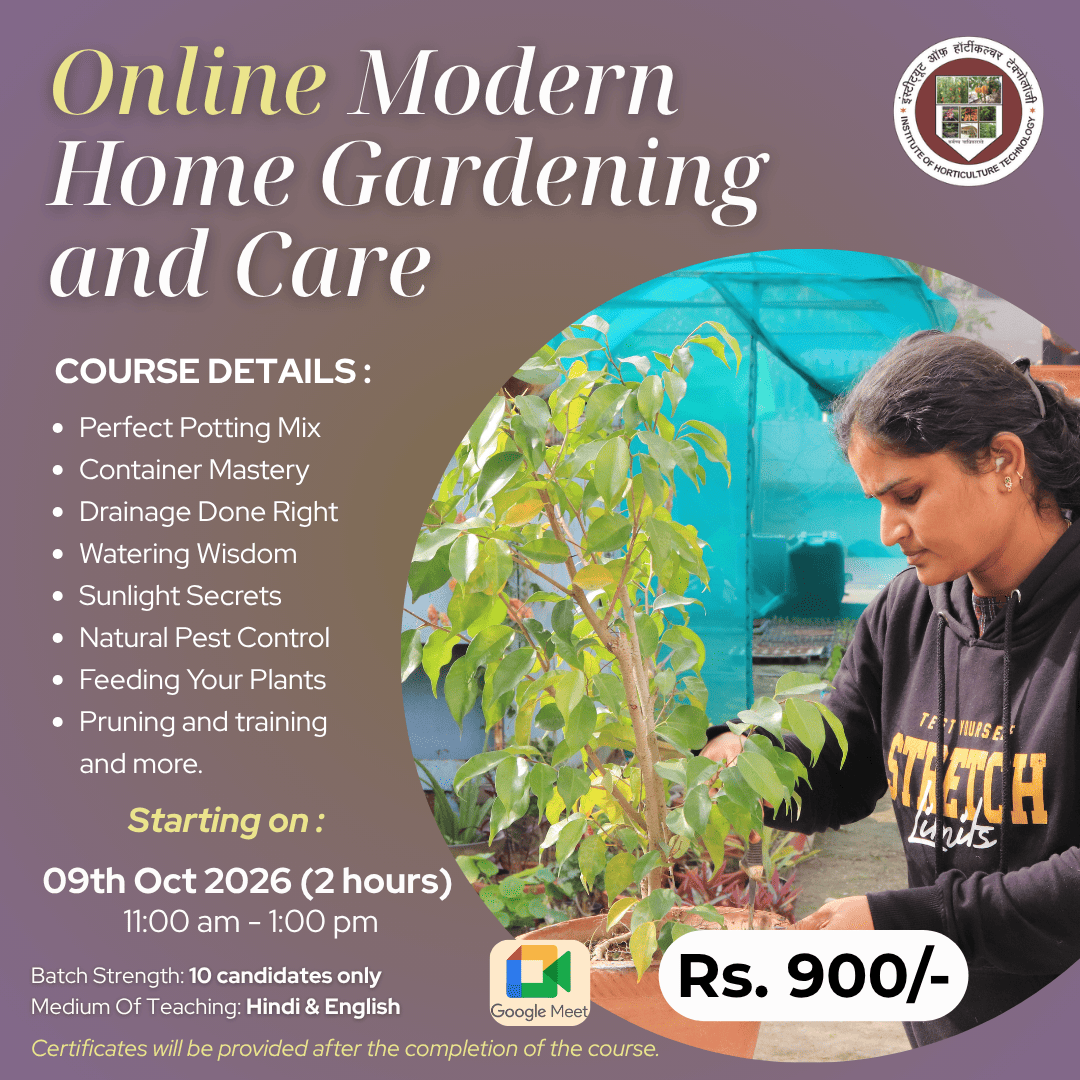 IHT Courses (10) (1)