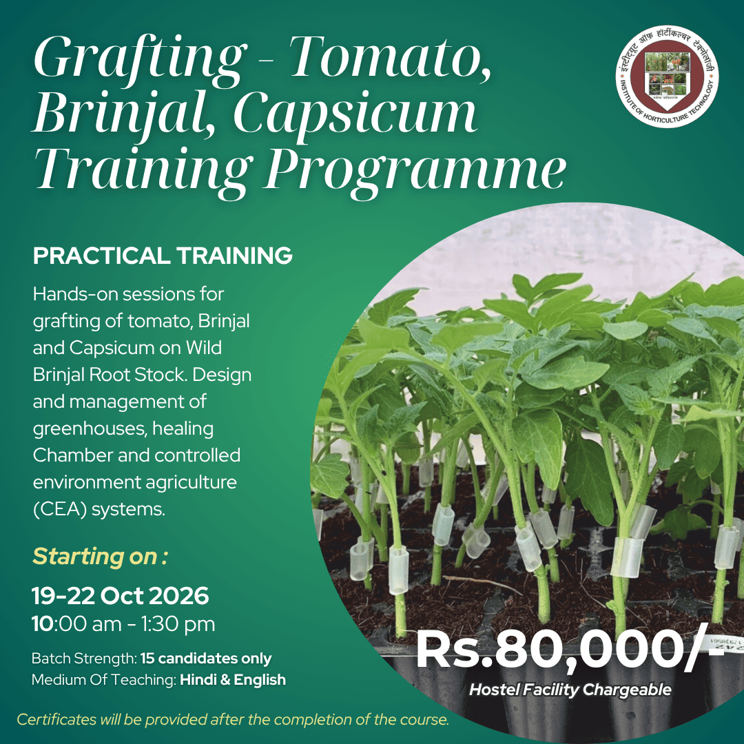IHT Courses (12) (1)