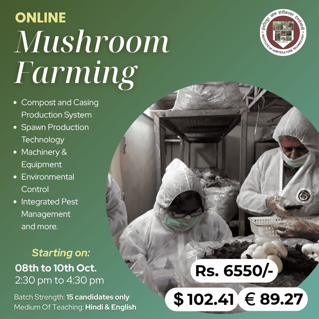 IHT Courses (6) (1)