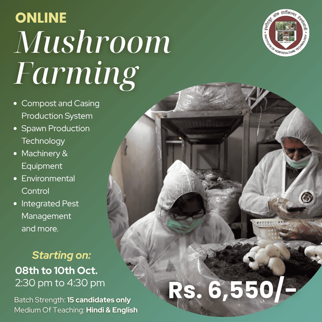 IHT Courses (6) (1)