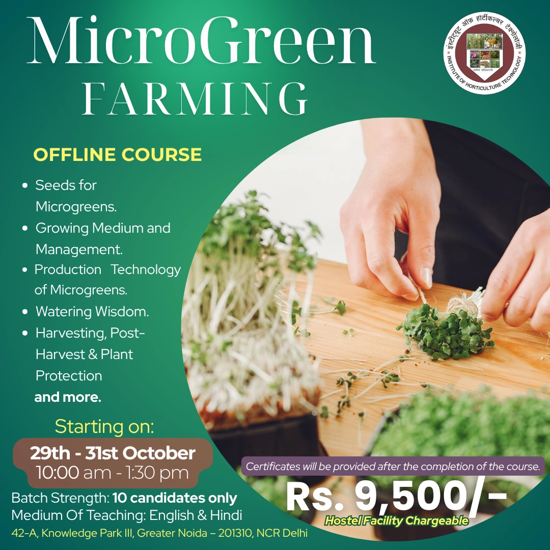 micros