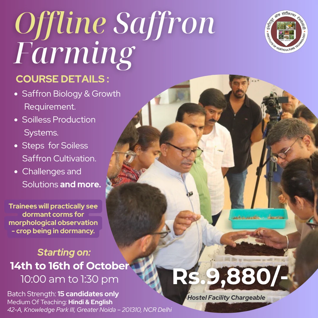 offline-safron-farming