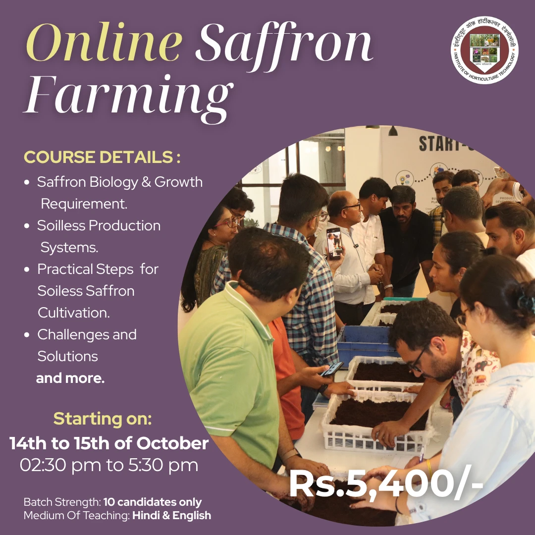 online-safron-farming