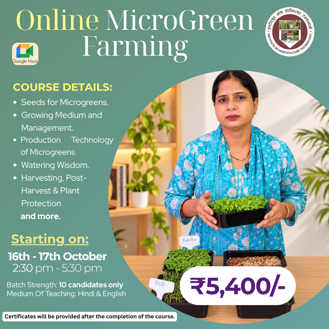 IHT Courses (1) (1)