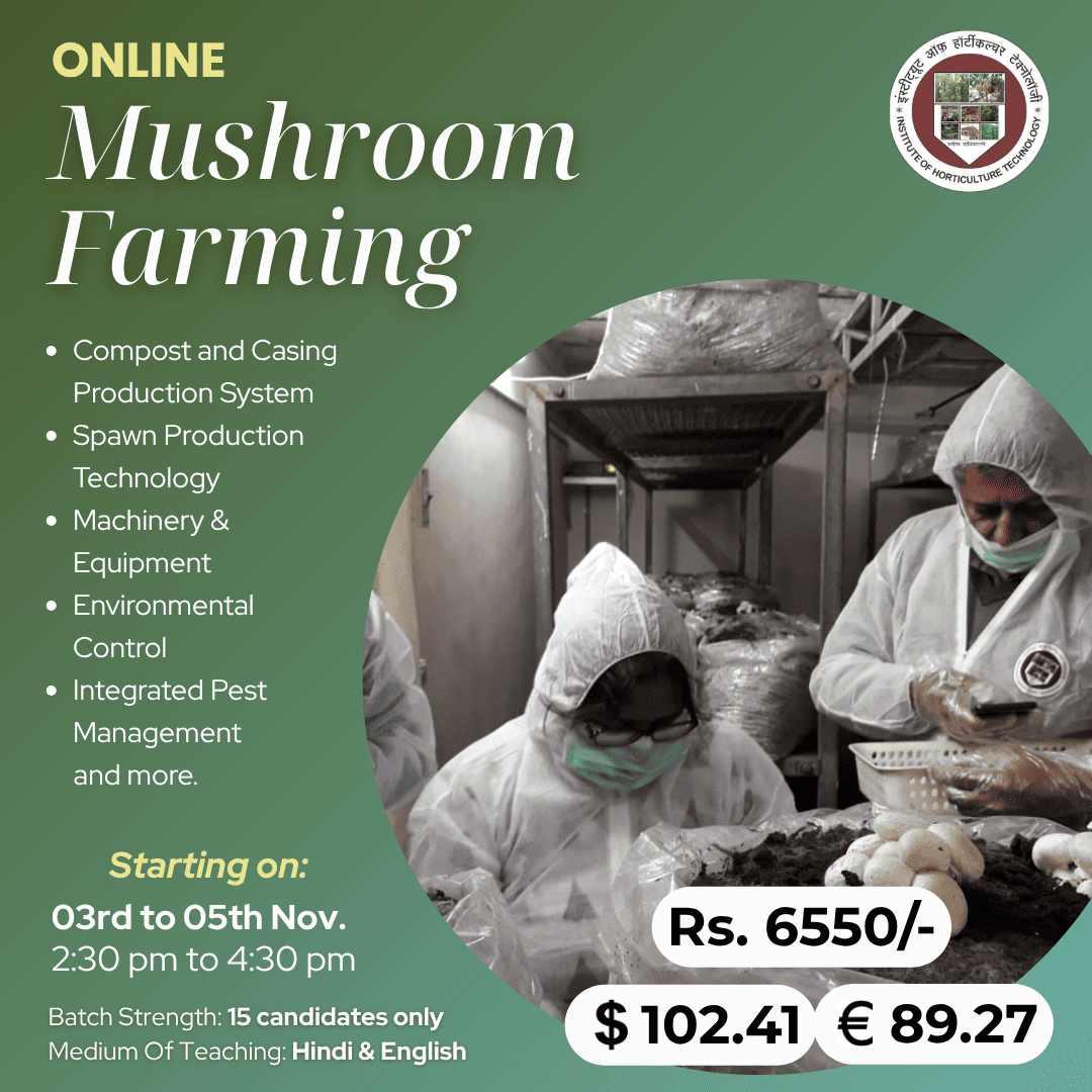 IHT Courses (14) (1)
