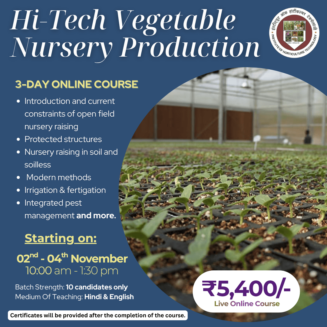 IHT Courses (2) (1)