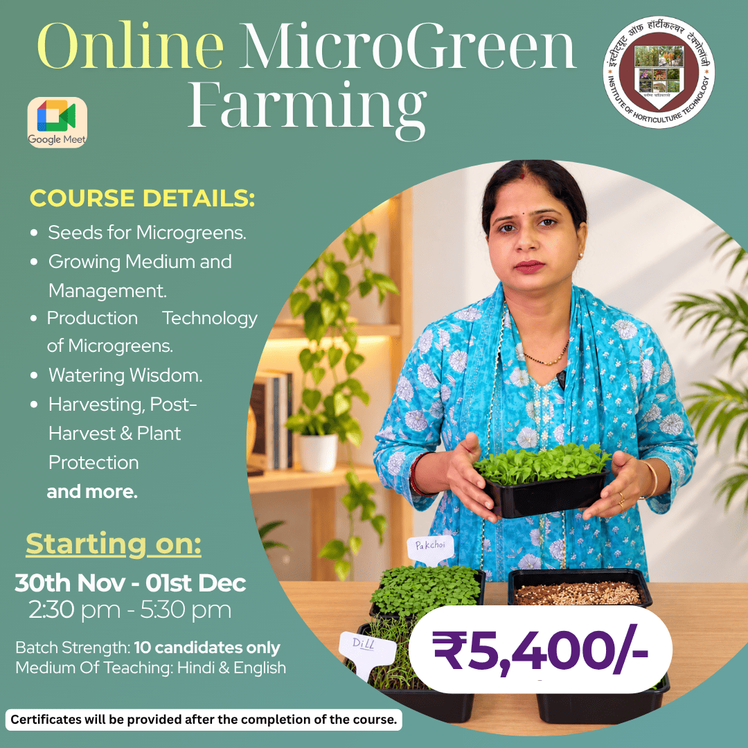 IHT Courses (3) (1)