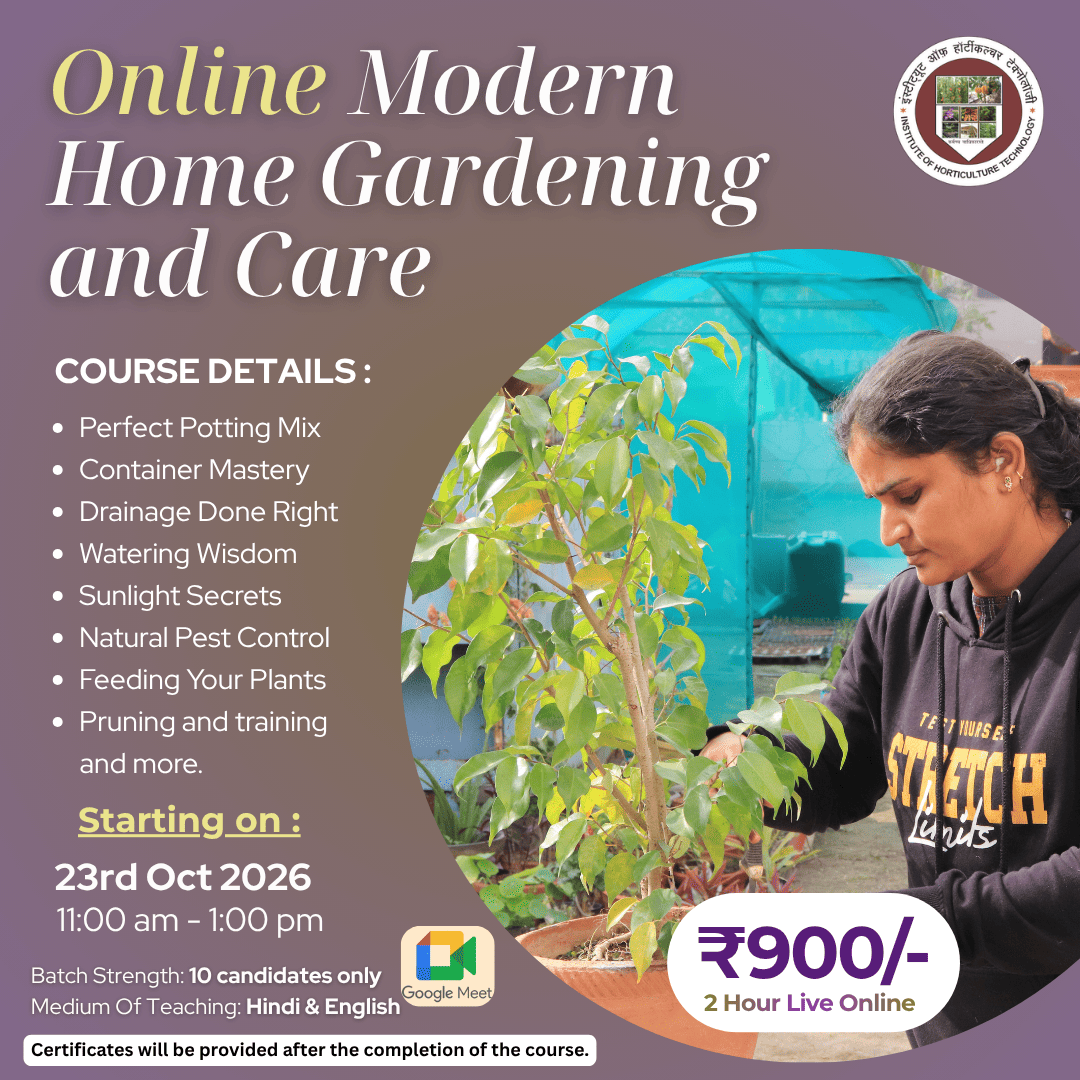 IHT Courses (3) (1)