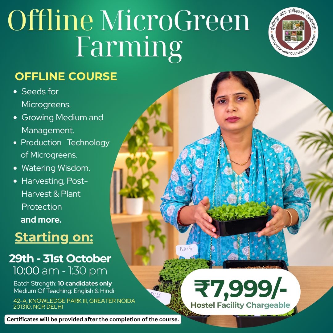 IHT Courses