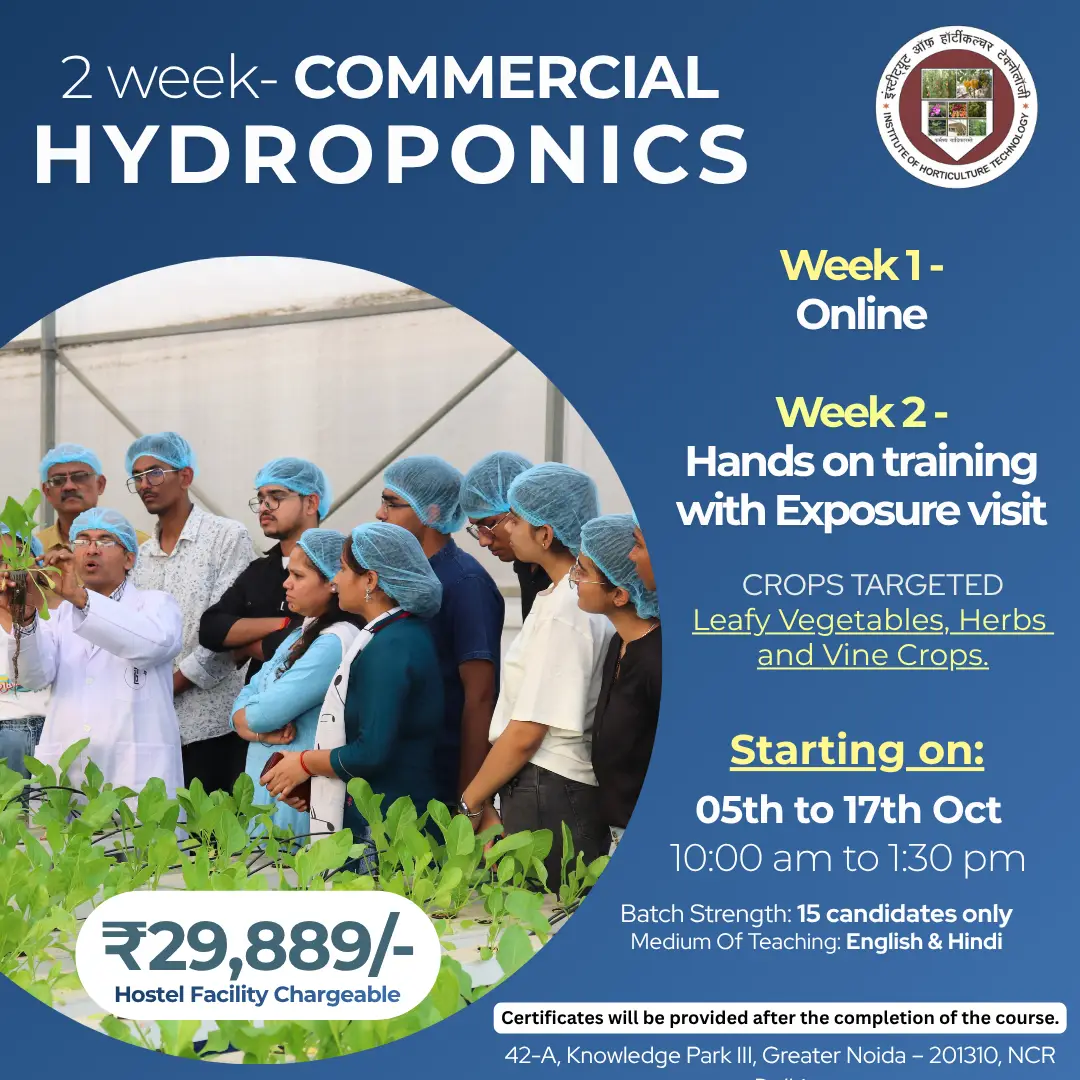 hydroponics