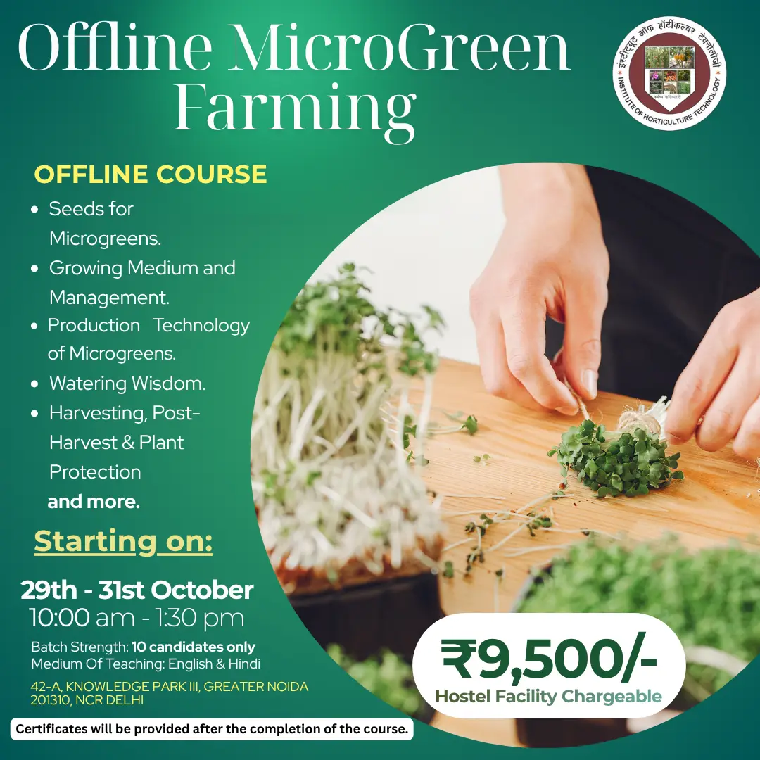 off-green