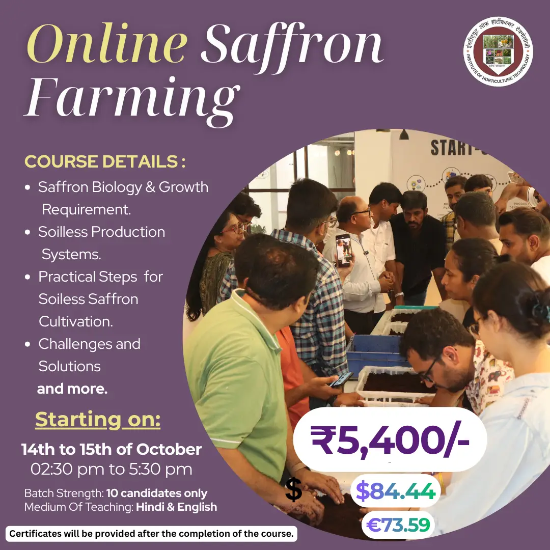 on-saff