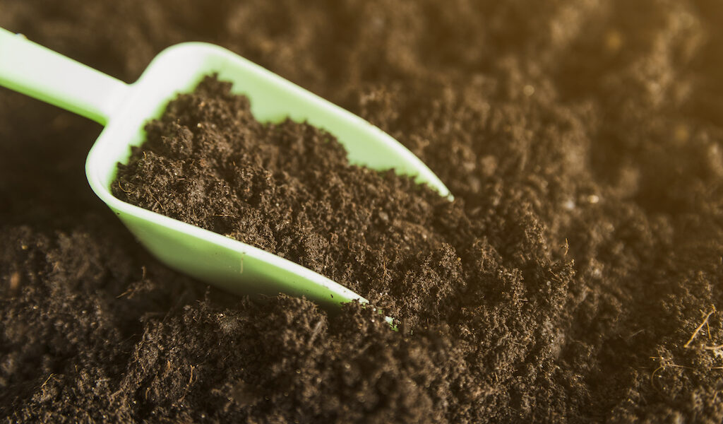 Soil Nutrient Management